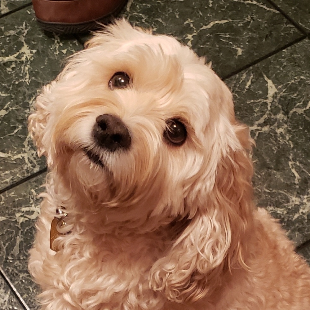 Meet your Posher, Courtney